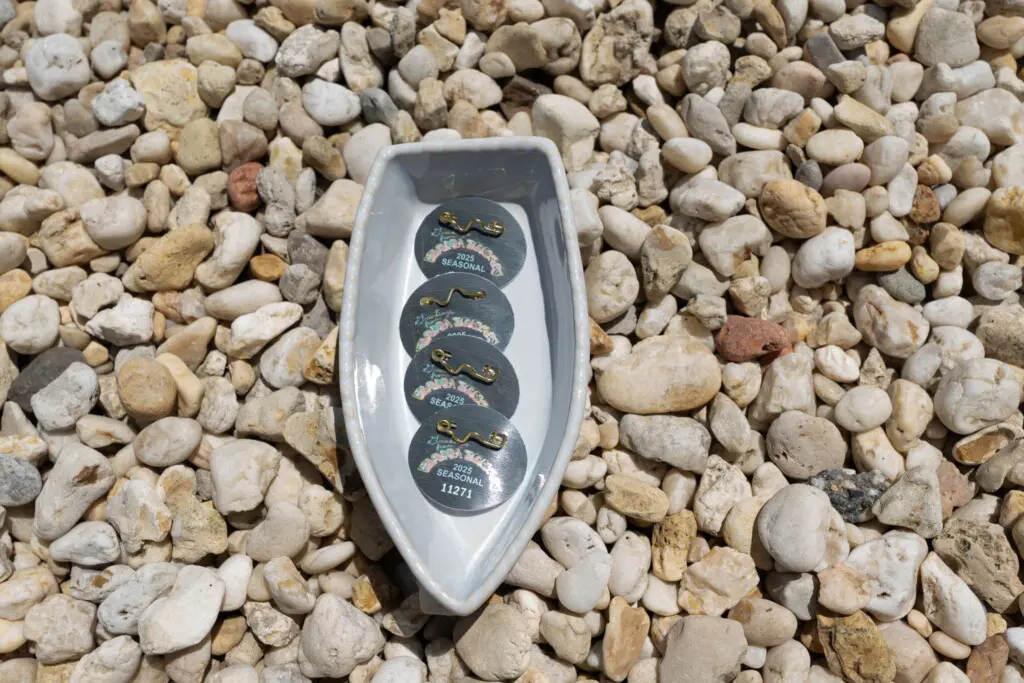 3cba5552 627b 42cc 98fc 185dc576e77c.jpg