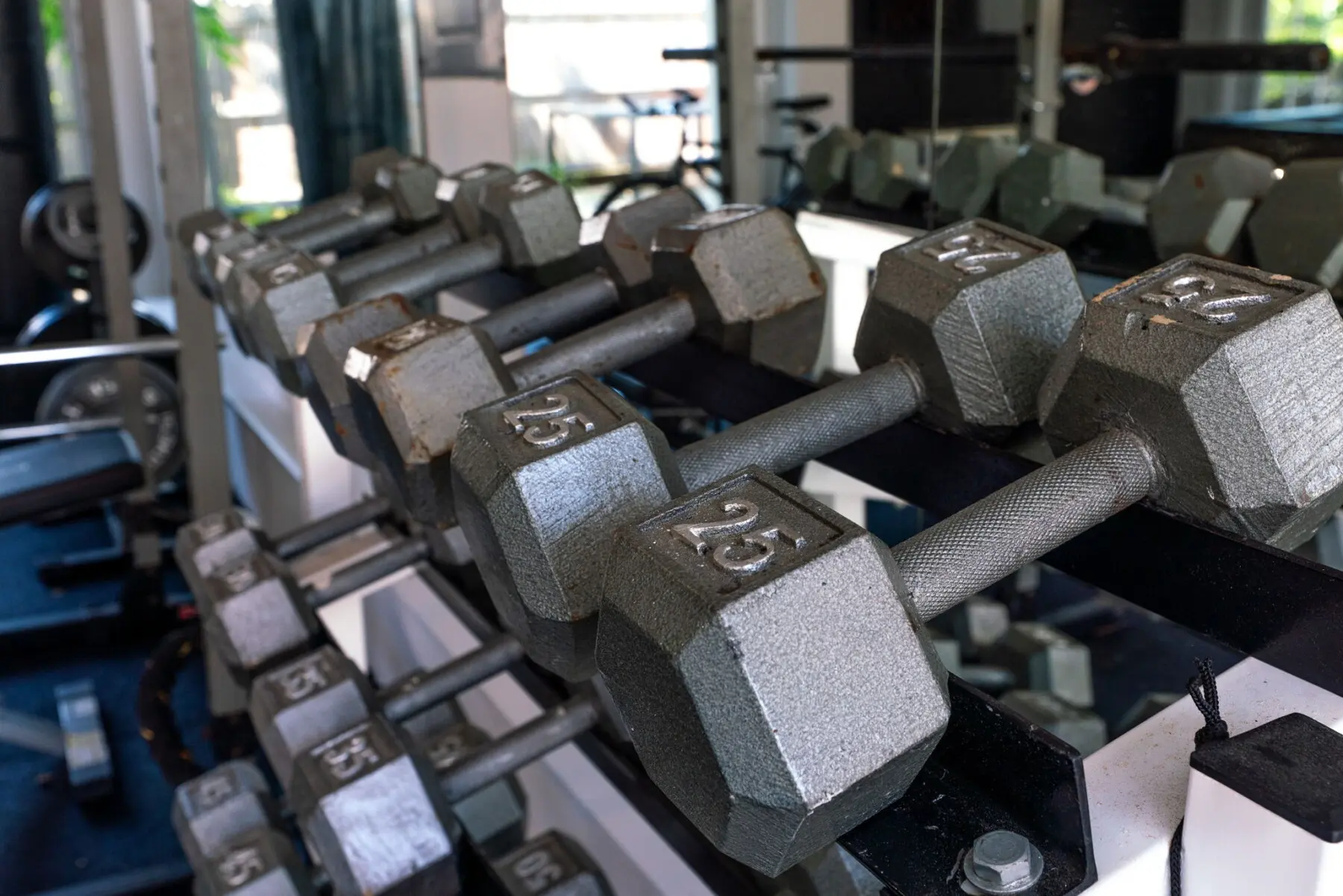 8a41df56 0224 46ec a366 ff3fb2a483c4.jpg