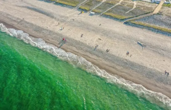 82af0584 15e9 47c1 8e7b df9e9c0b4336