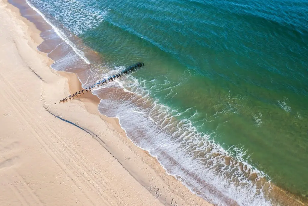 af0182e7 e573 4f85 92a9 752696e22450