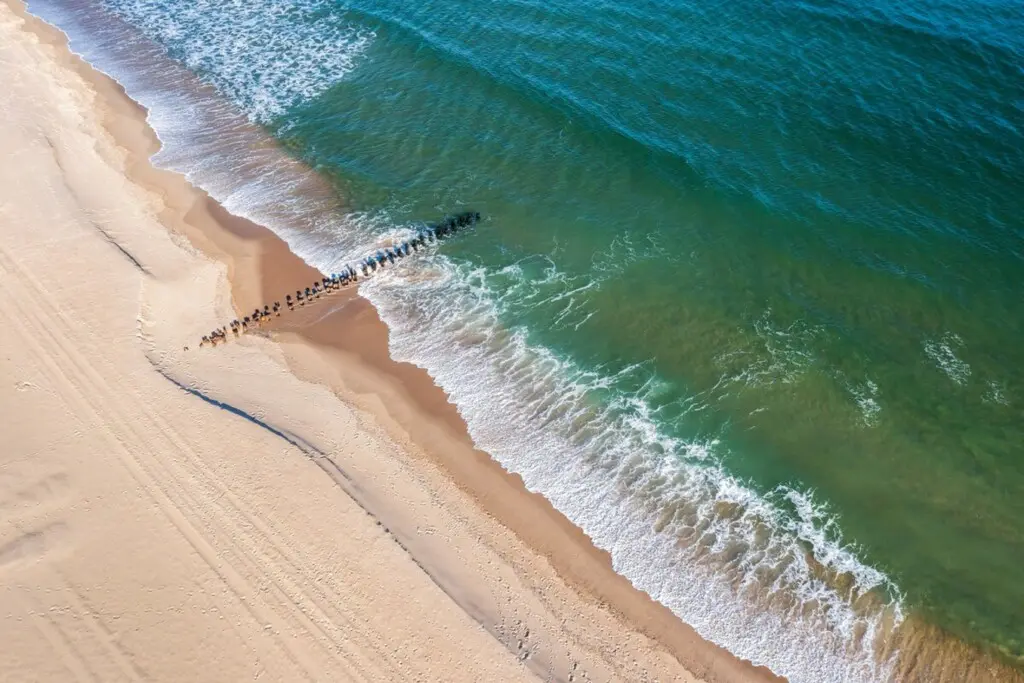 c34c056a ffdb 4438 b2cb 3f7e958caec2